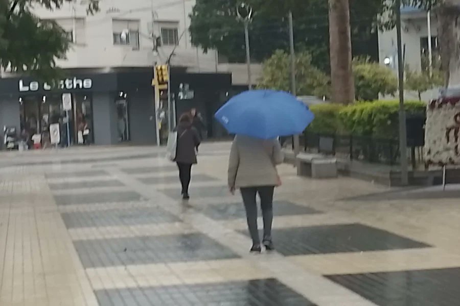 ImpactoRioja tweet media