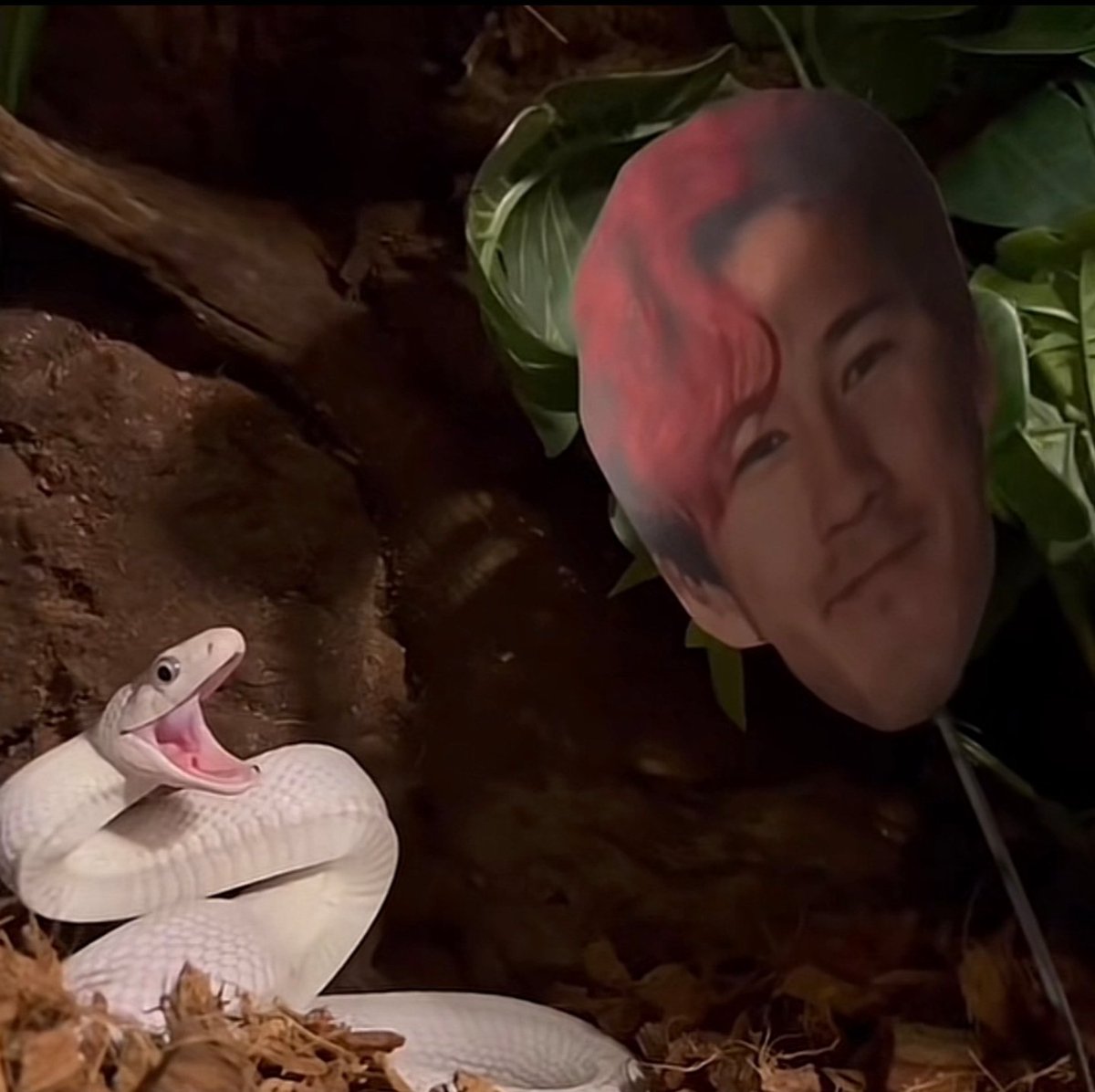 SinglePlayerRB's tweet photo. @markiplier https://t.co/XKQo4exJFn