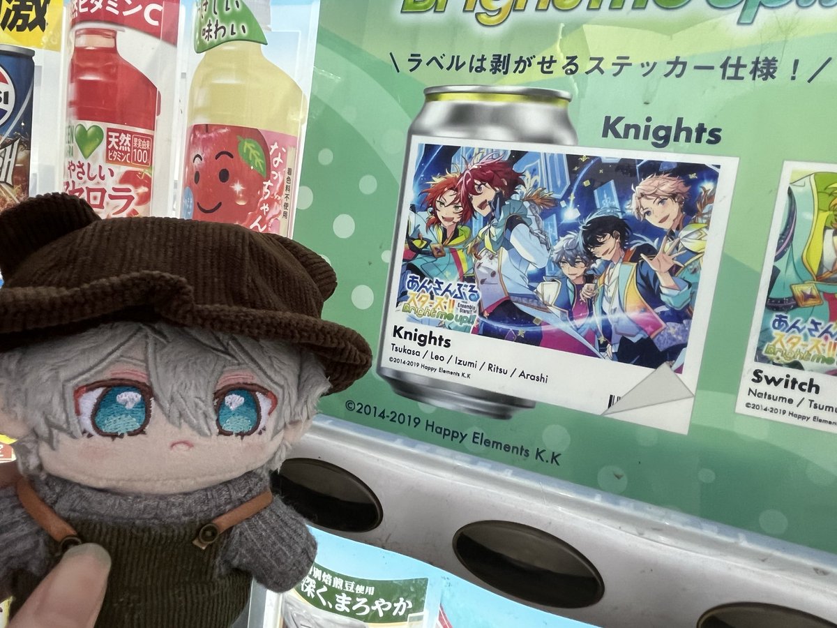 ココ@ぬいと生活 tweet media