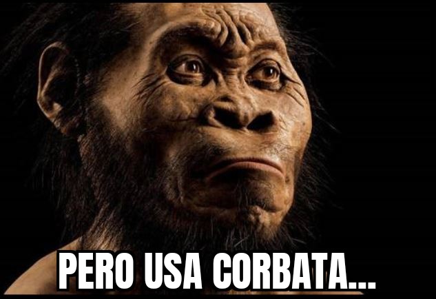 Joseluismo™ tweet media