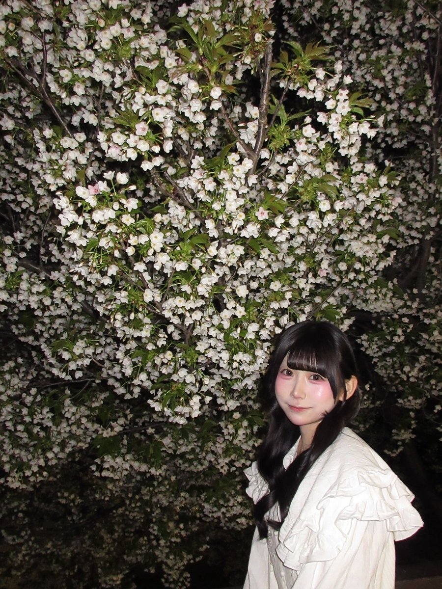 透明くりあ【iON!】 tweet media