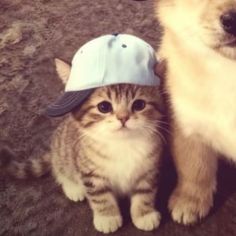 hazee.1809 tweet media