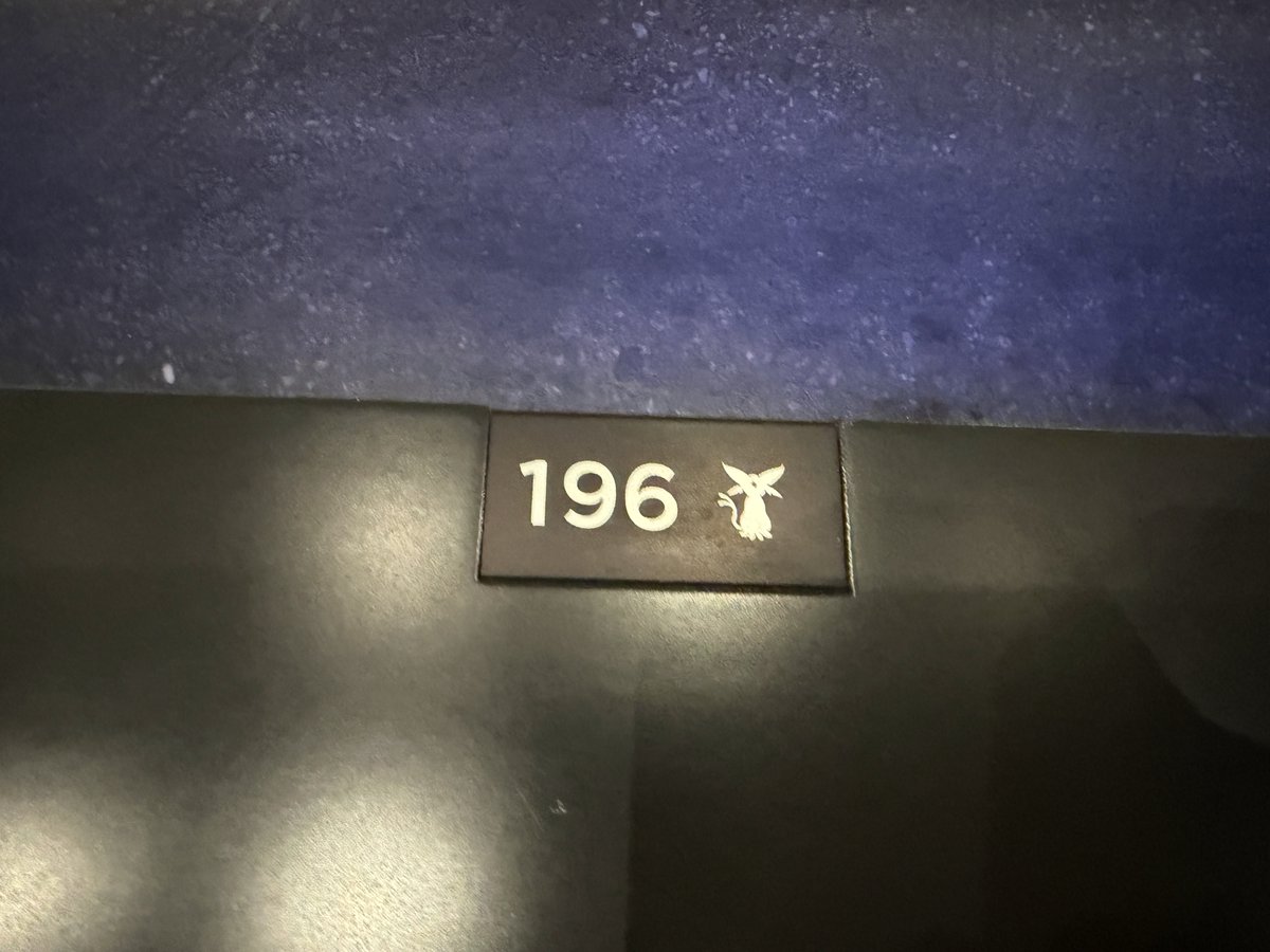 もふ汰🐿️🌼 tweet media