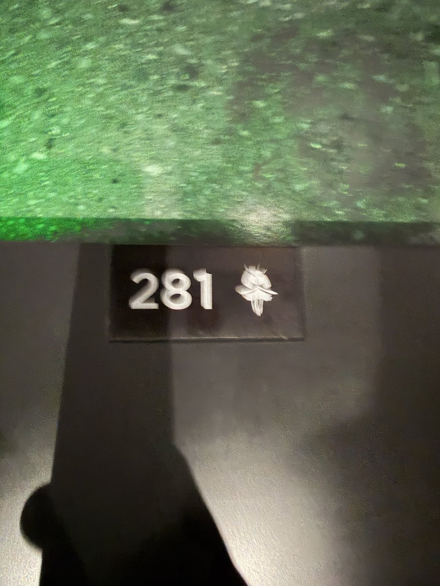 もふ汰🐿️🌼 tweet media