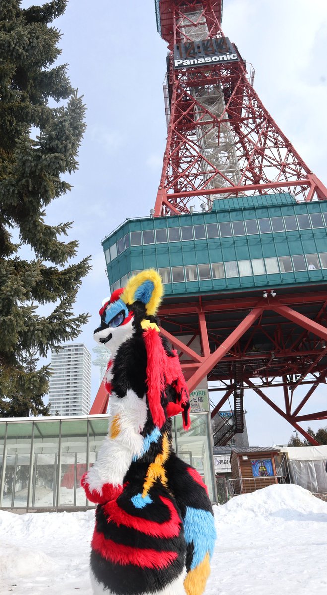 アルゴリズム(ゴリ) tweet media