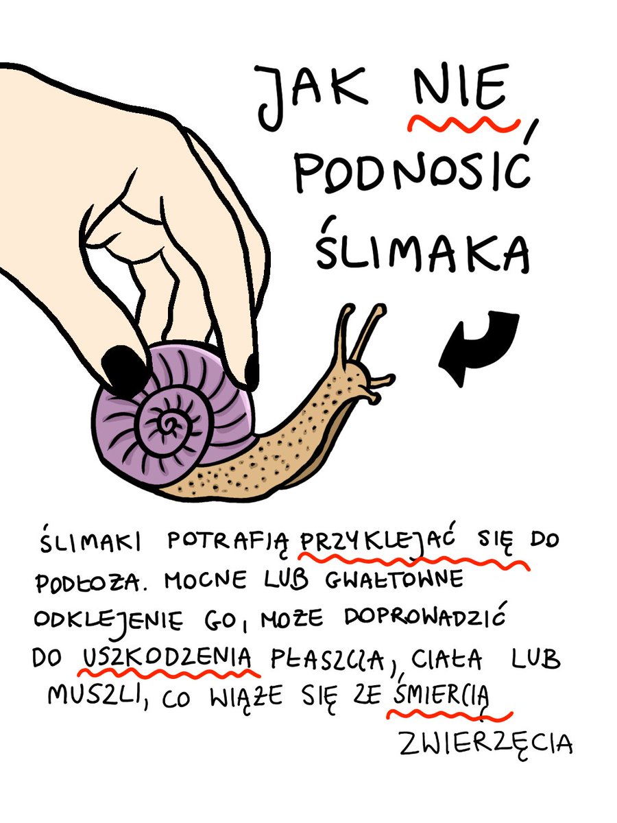 Pauka Lascaux-Pécaud tweet media