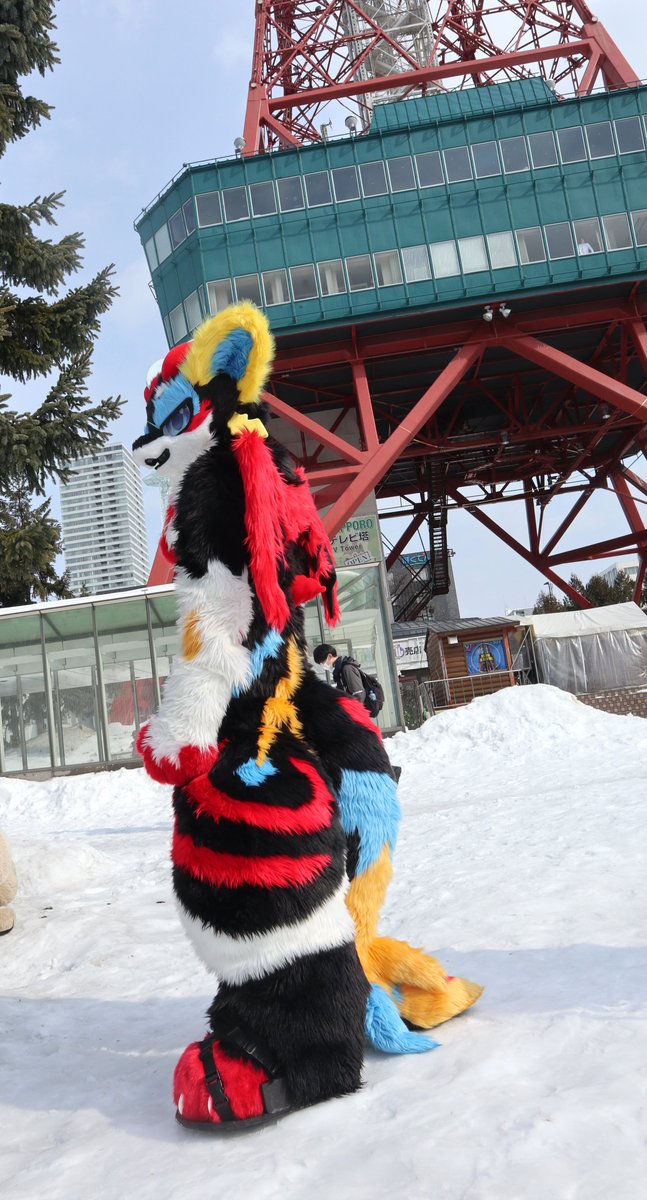 アルゴリズム(ゴリ) tweet media