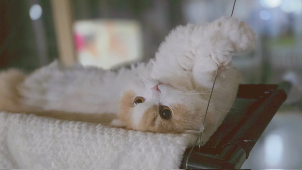 이달🌛 tweet media