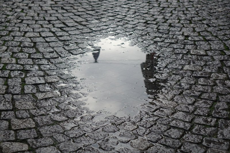 Nickel Dimer Bets tweet media