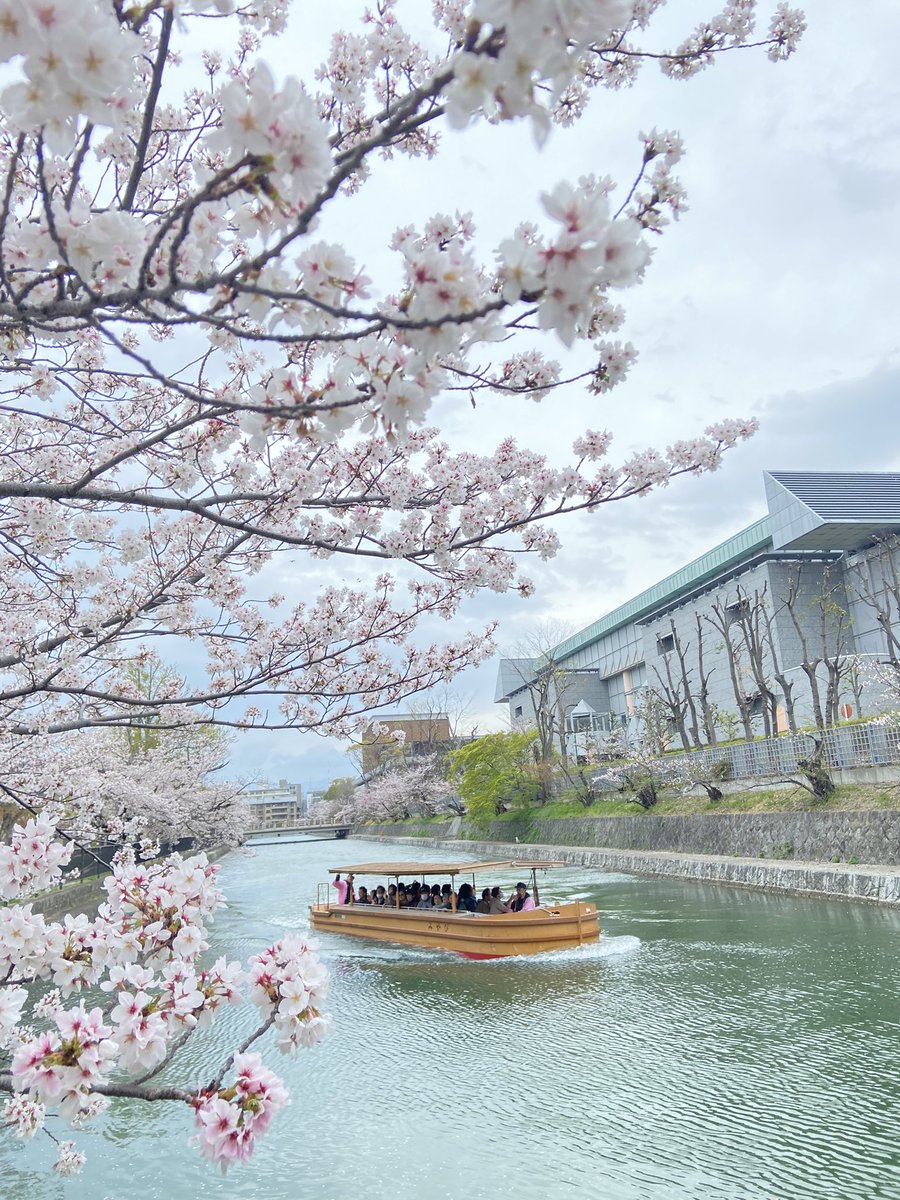 ゆめひろ♪ tweet media