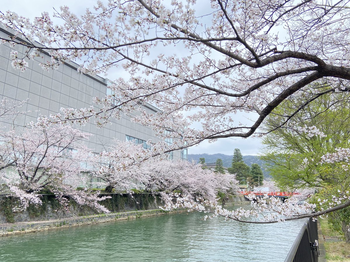 ゆめひろ♪ tweet media