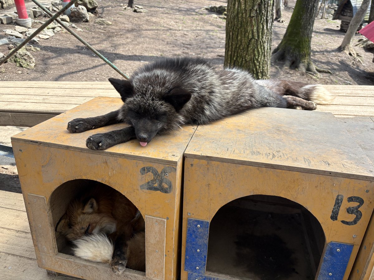 隅っこ tweet media