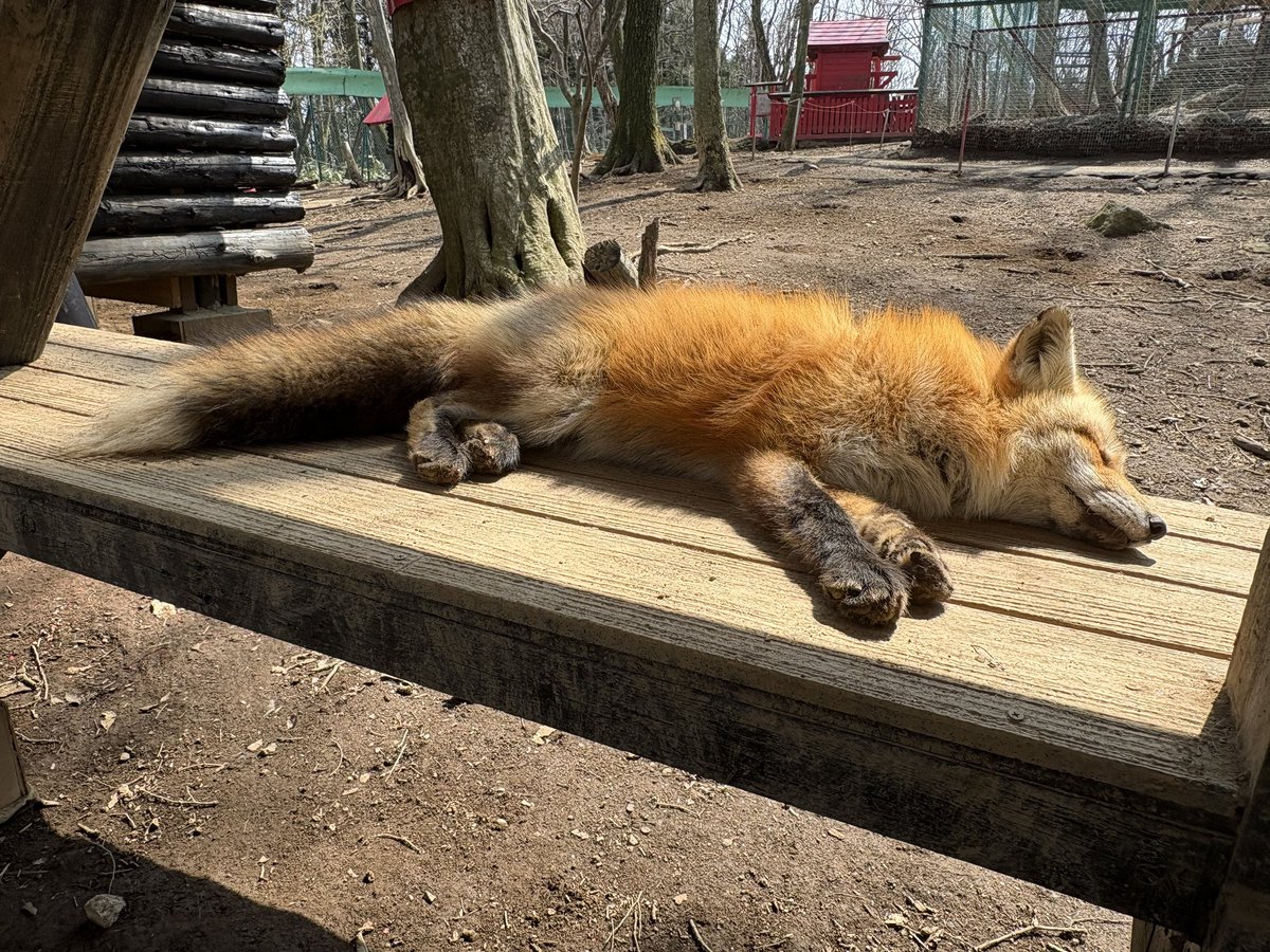 隅っこ tweet media