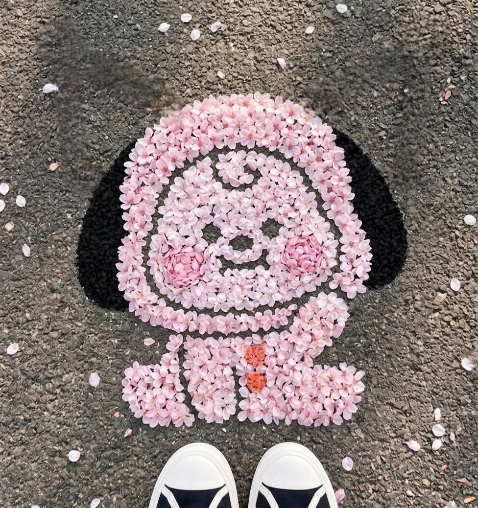 밋밋 MUSE tweet media