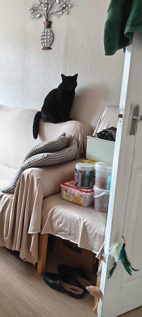 🩸KillJoy🩸 tweet media