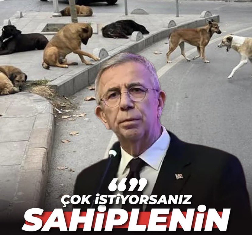 Türkçü 𐰀𐰢 tweet media