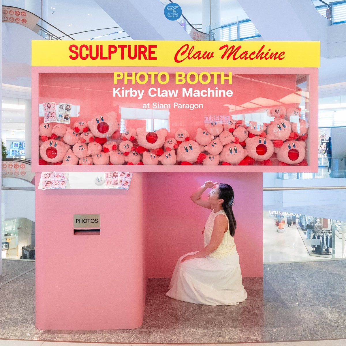 วาฬมีปีก | Flyingwhale tweet media