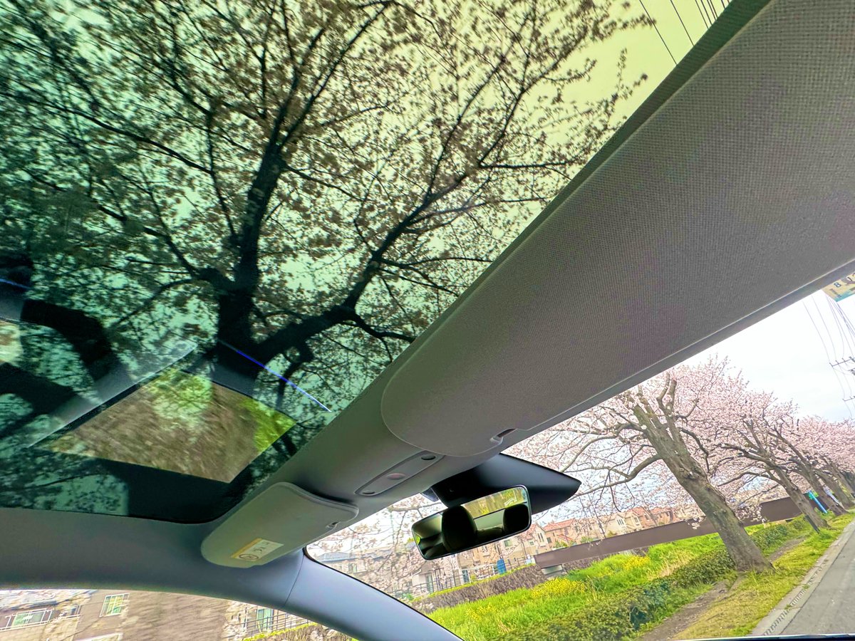 ドラヨス@ワンソクTube クルマ買う系YouTuber tweet media