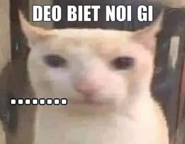 xewuki.2 tweet media