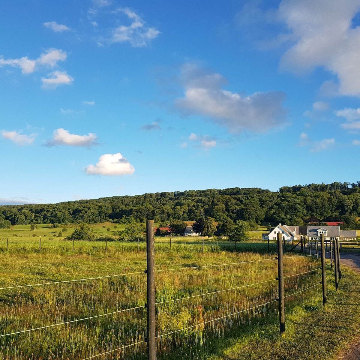 vistaaura tweet media