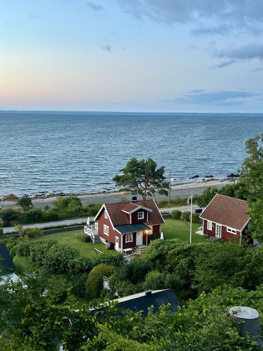 vistaaura tweet media