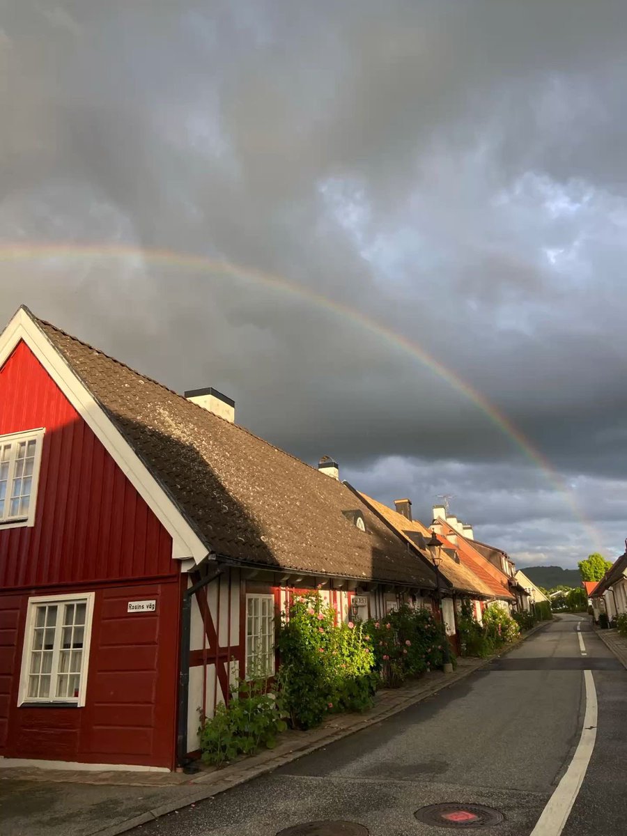 vistaaura tweet media