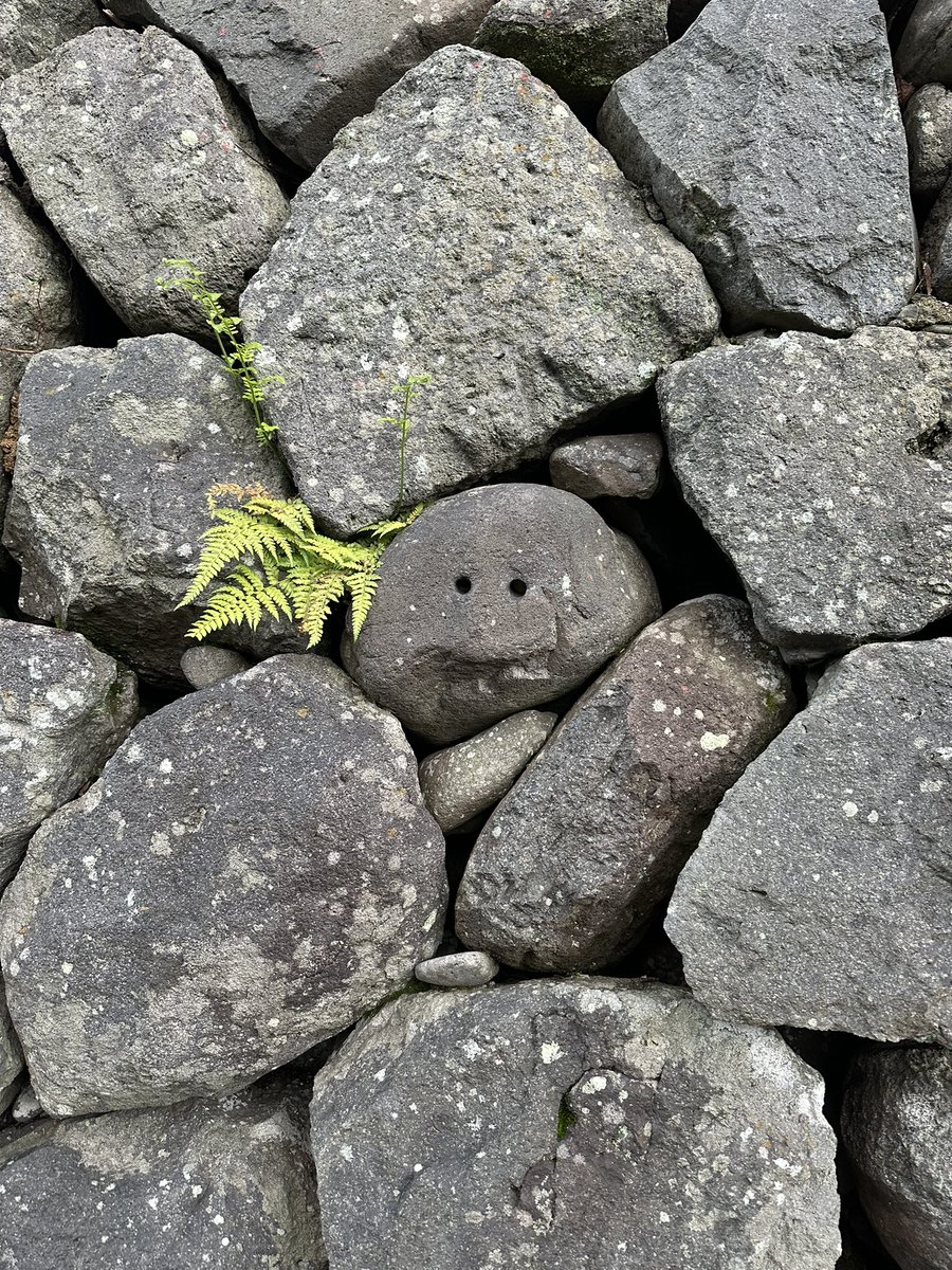 さくら・ど・れい tweet media