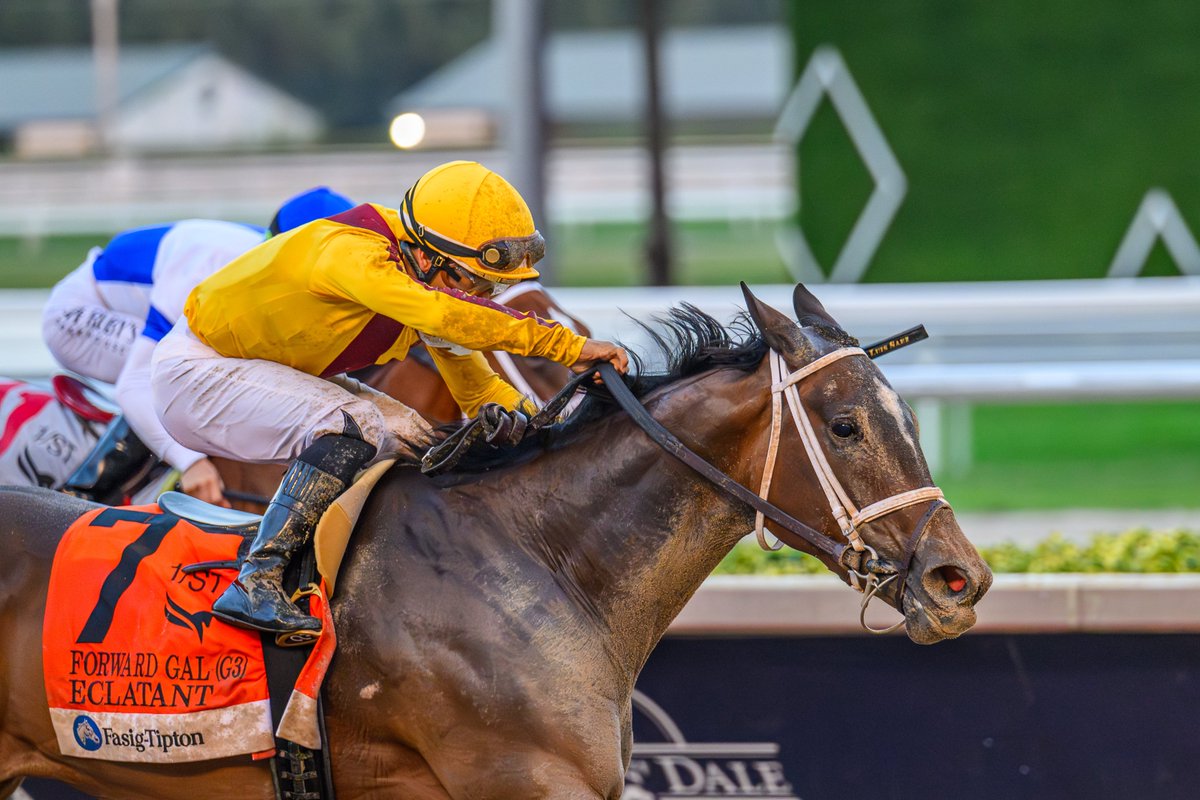 Equibase tweet media