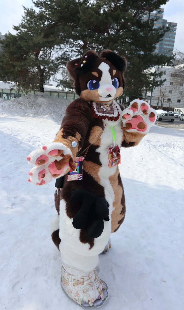 アルゴリズム(ゴリ) tweet media