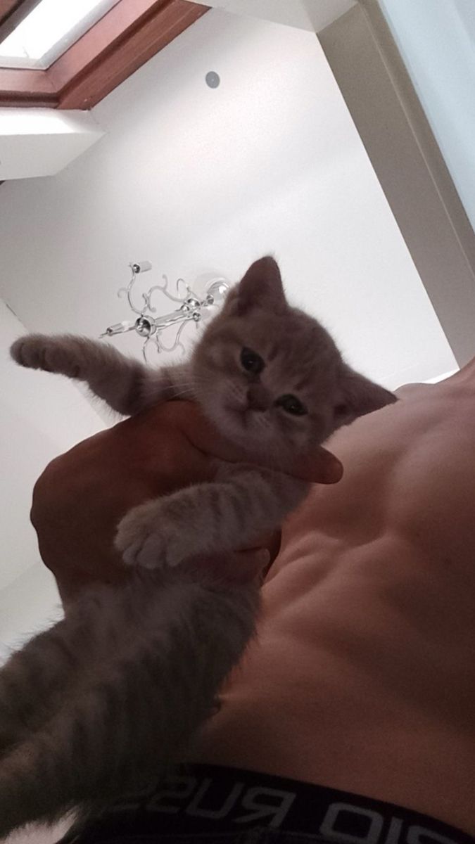 Nattawut tweet media