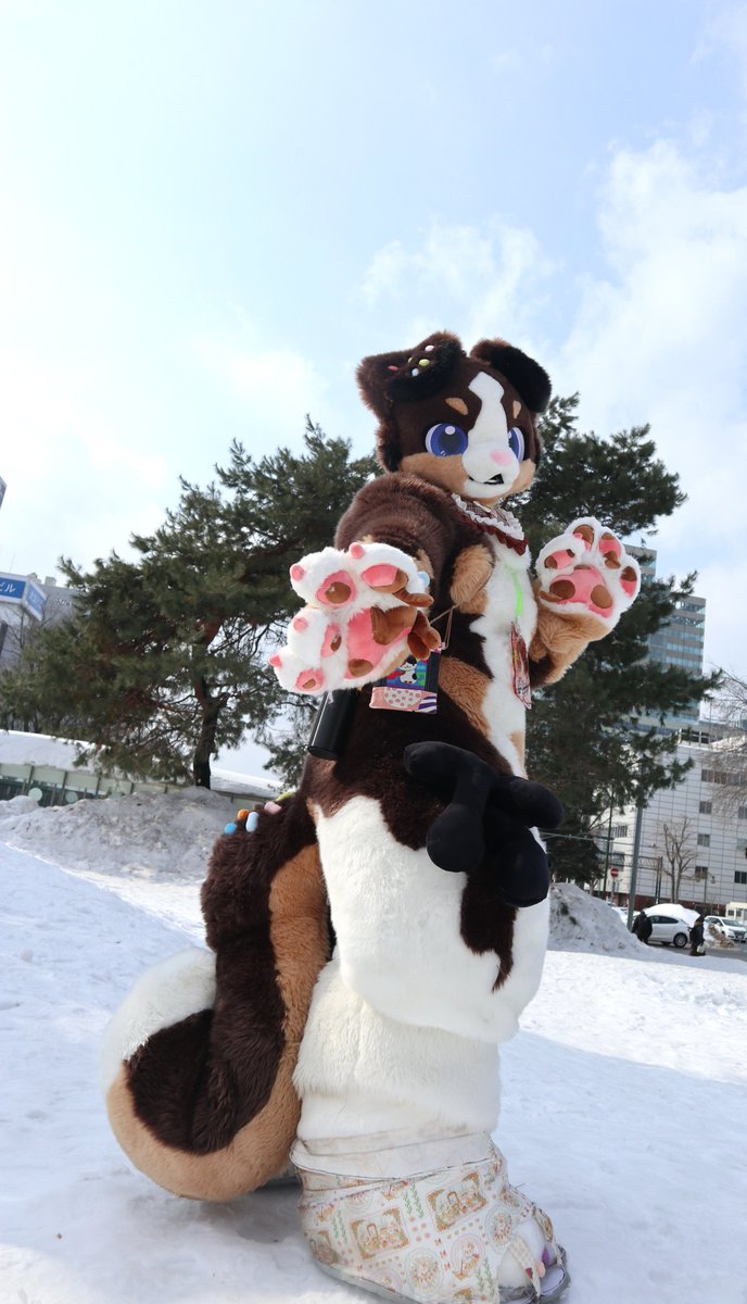 アルゴリズム(ゴリ) tweet media