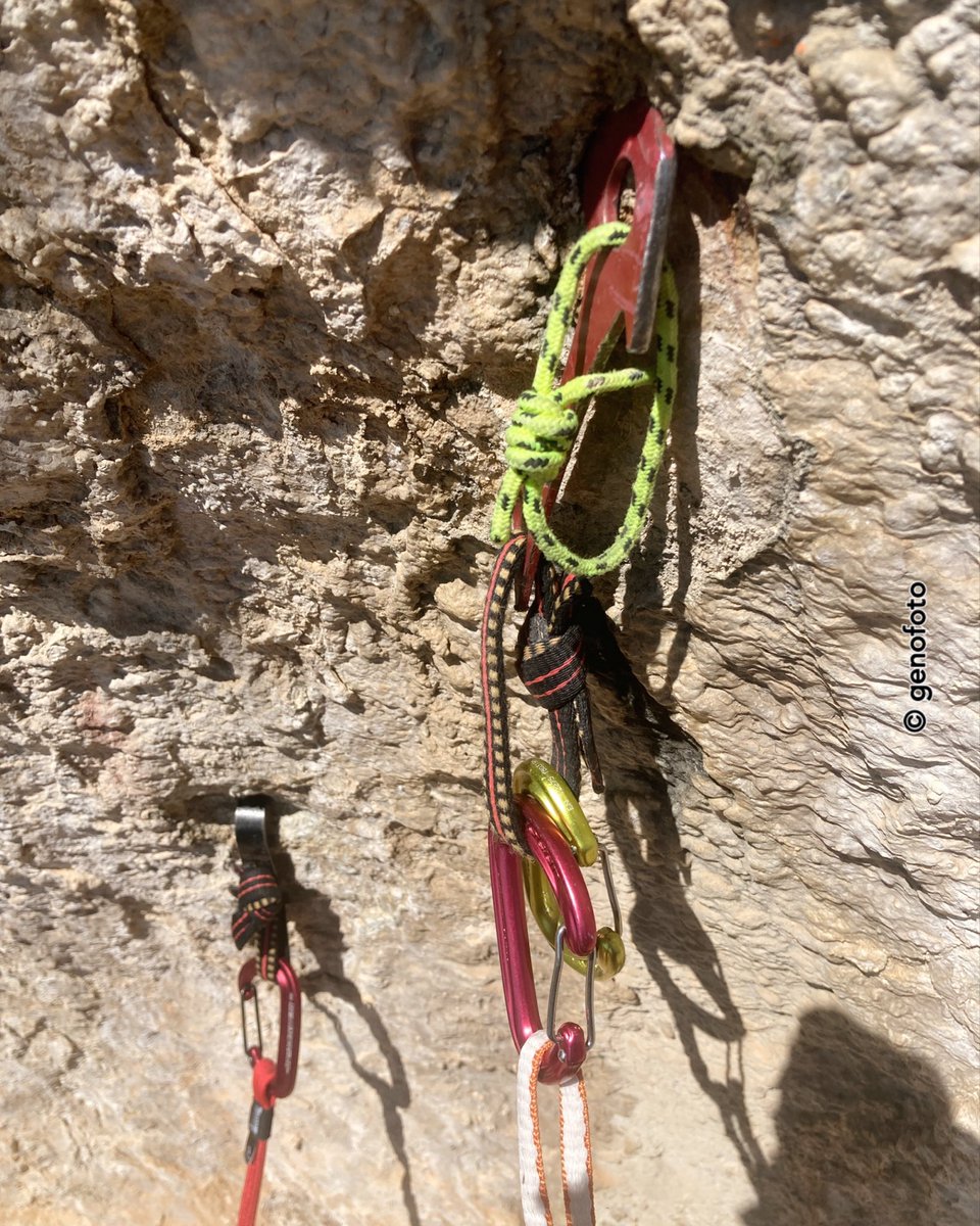 genofoto tweet media