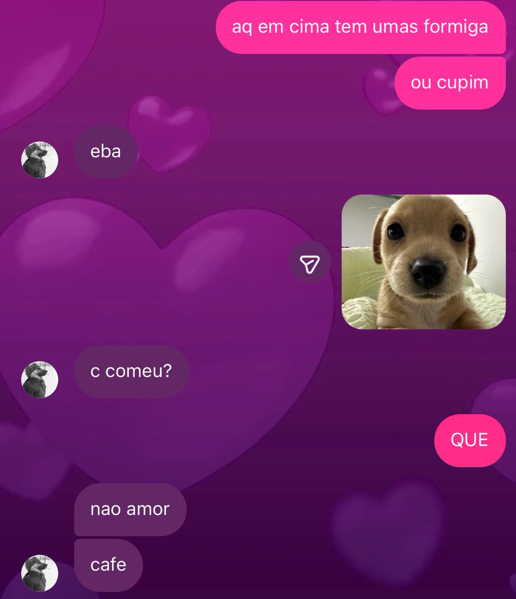 rafa⁷ 🪭 tweet media