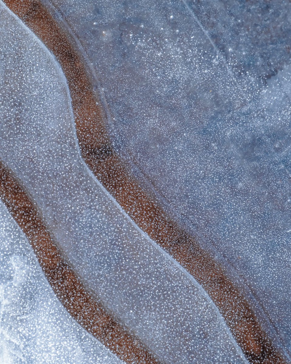 Tara in Abstract 🙃 tweet media