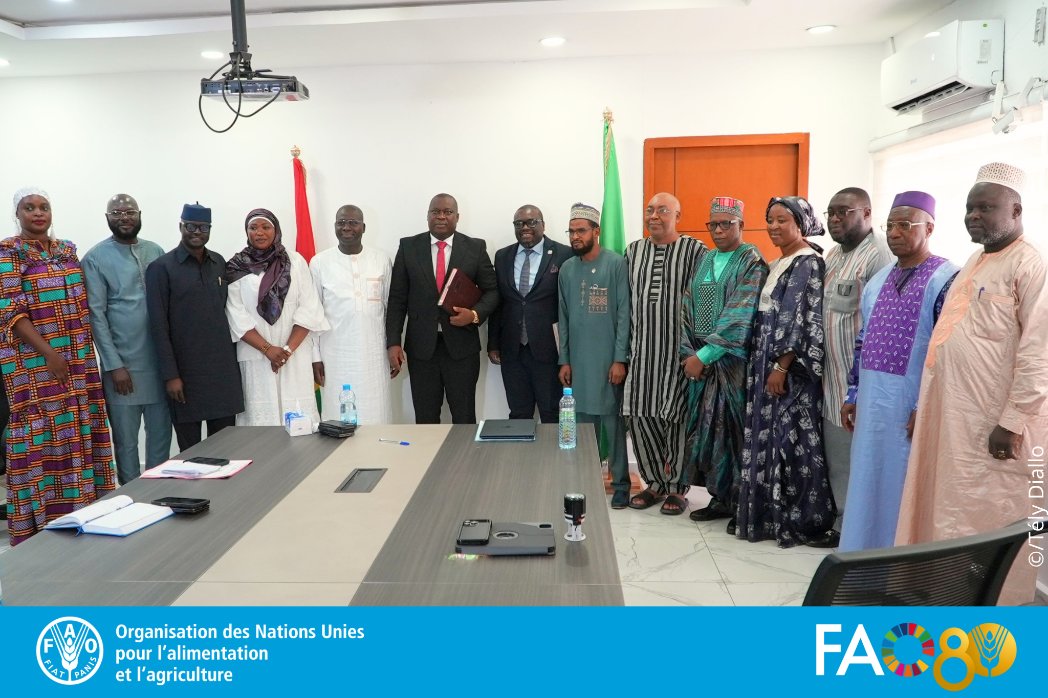 FAO Guinée tweet media
