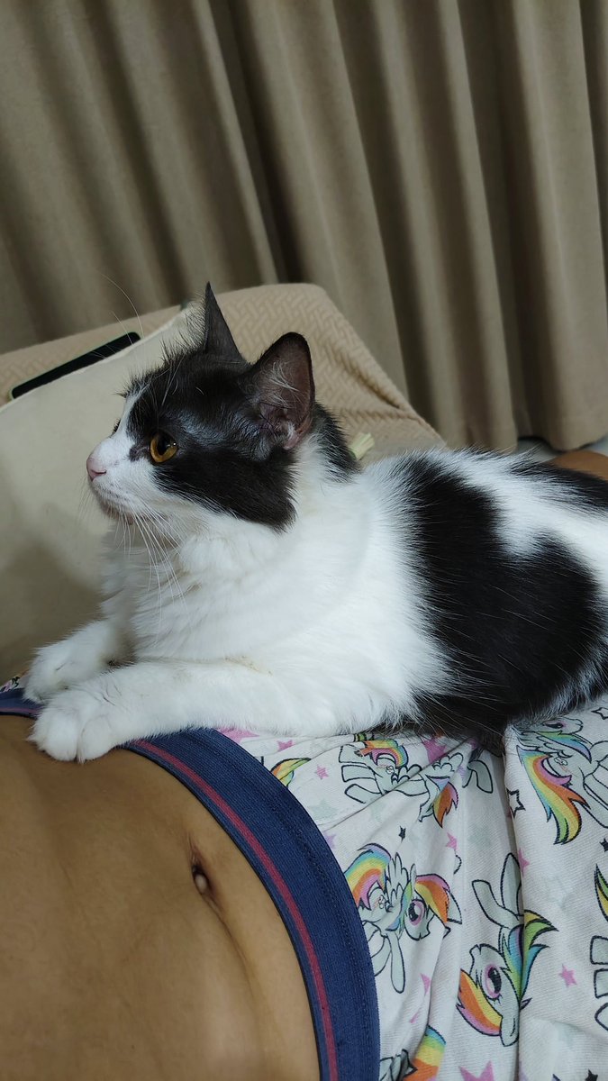 ForGreennn tweet media