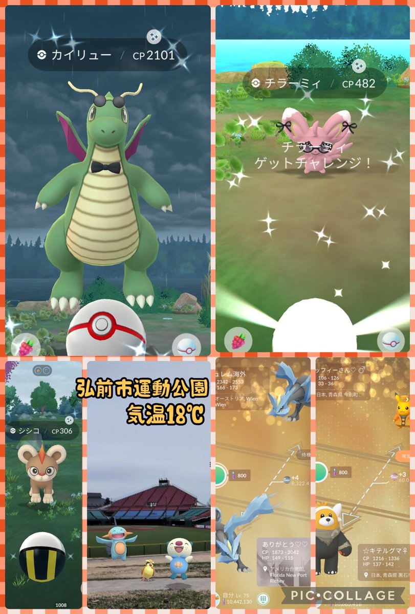 ミッフィー青森🍎仲良くしてね tweet media