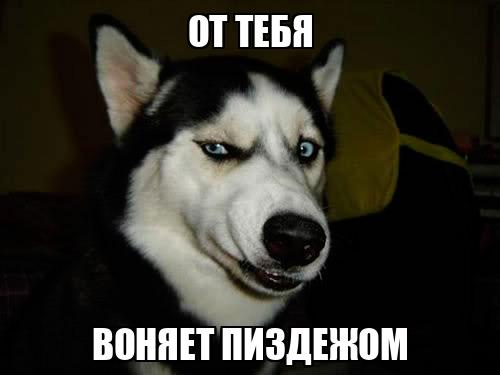 Guard Valera tweet media