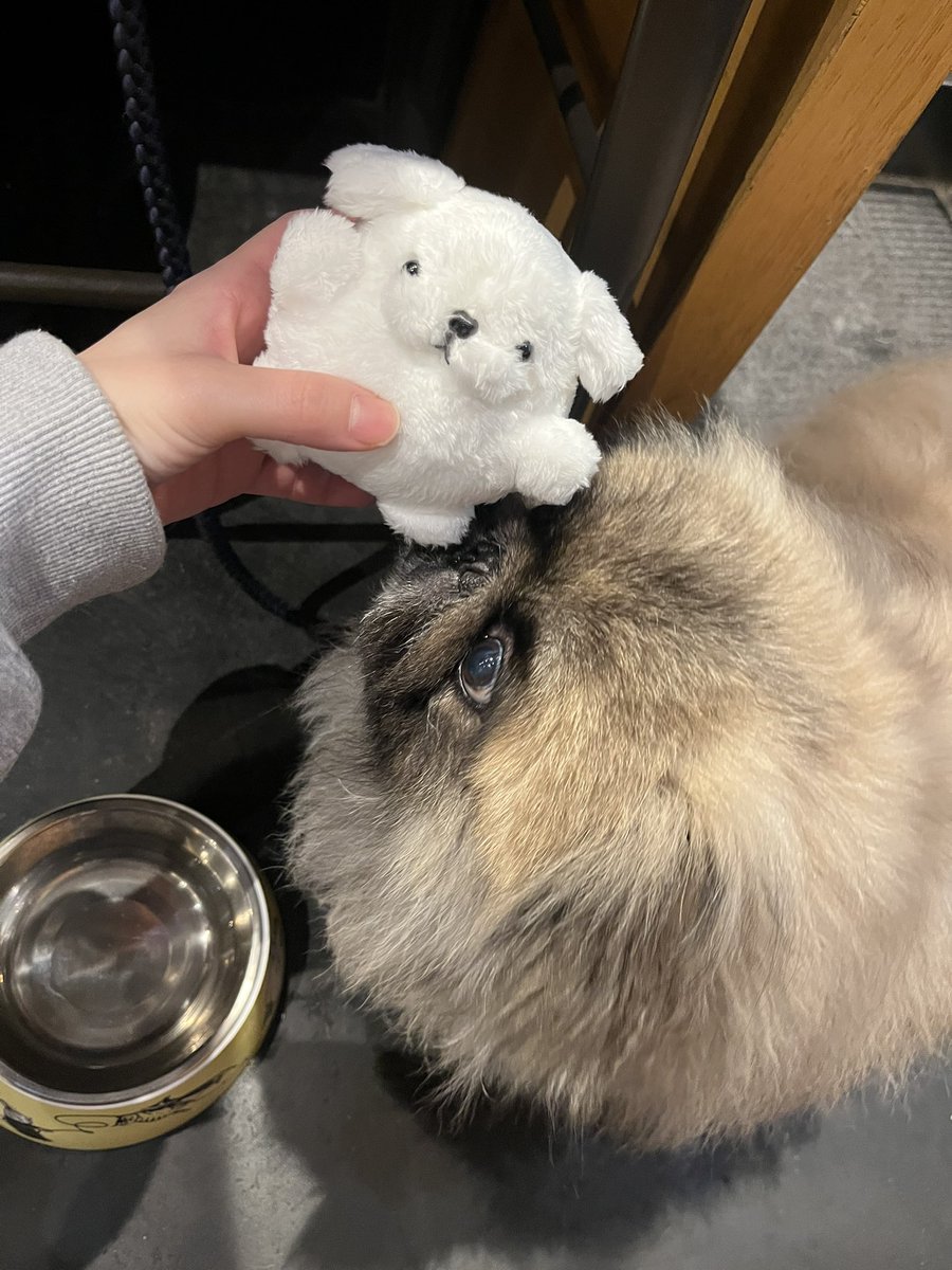 臨界林檎💉 tweet media