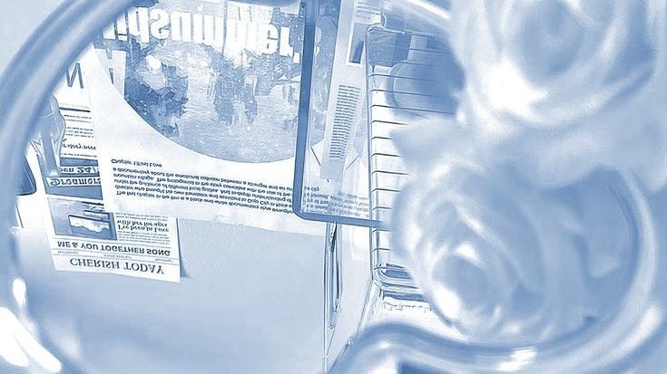 𝐓𝐚𝐠 tweet media