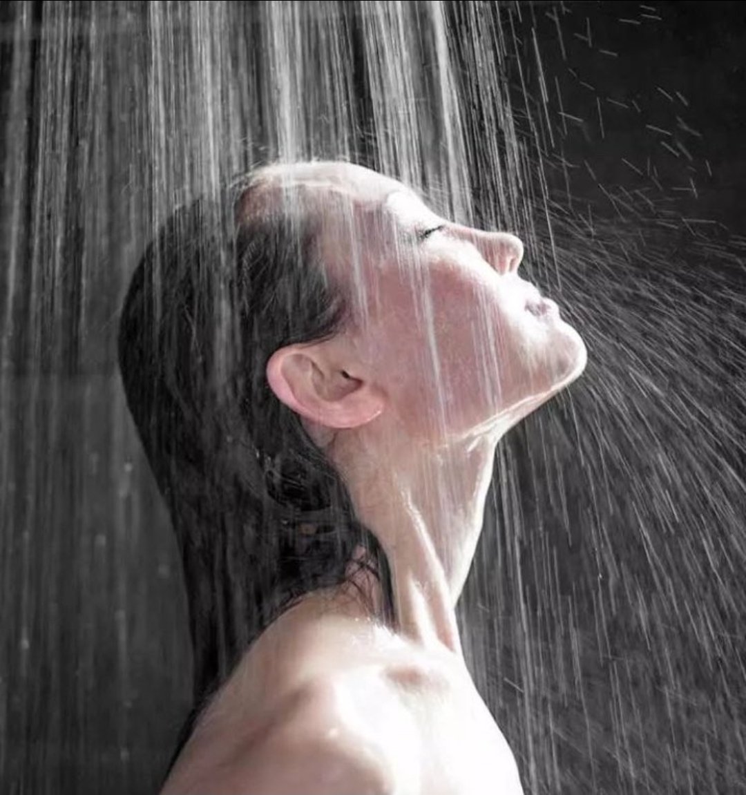 noisy.tumblr tweet media