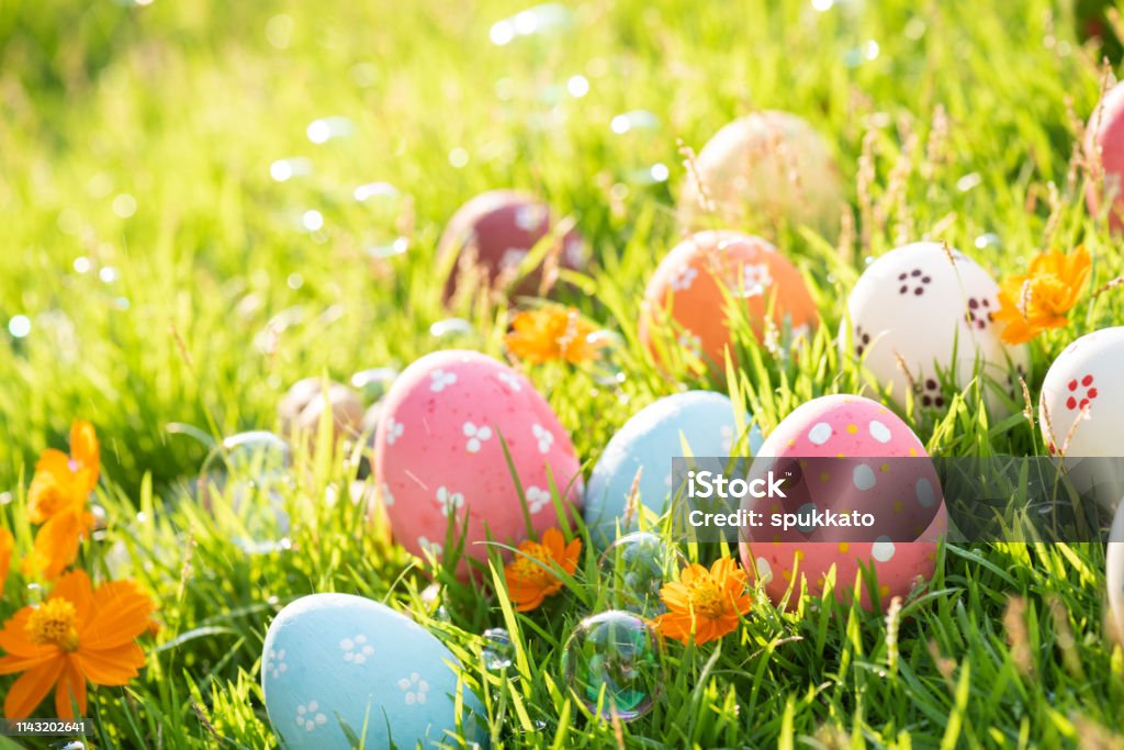 DurinLass tweet media