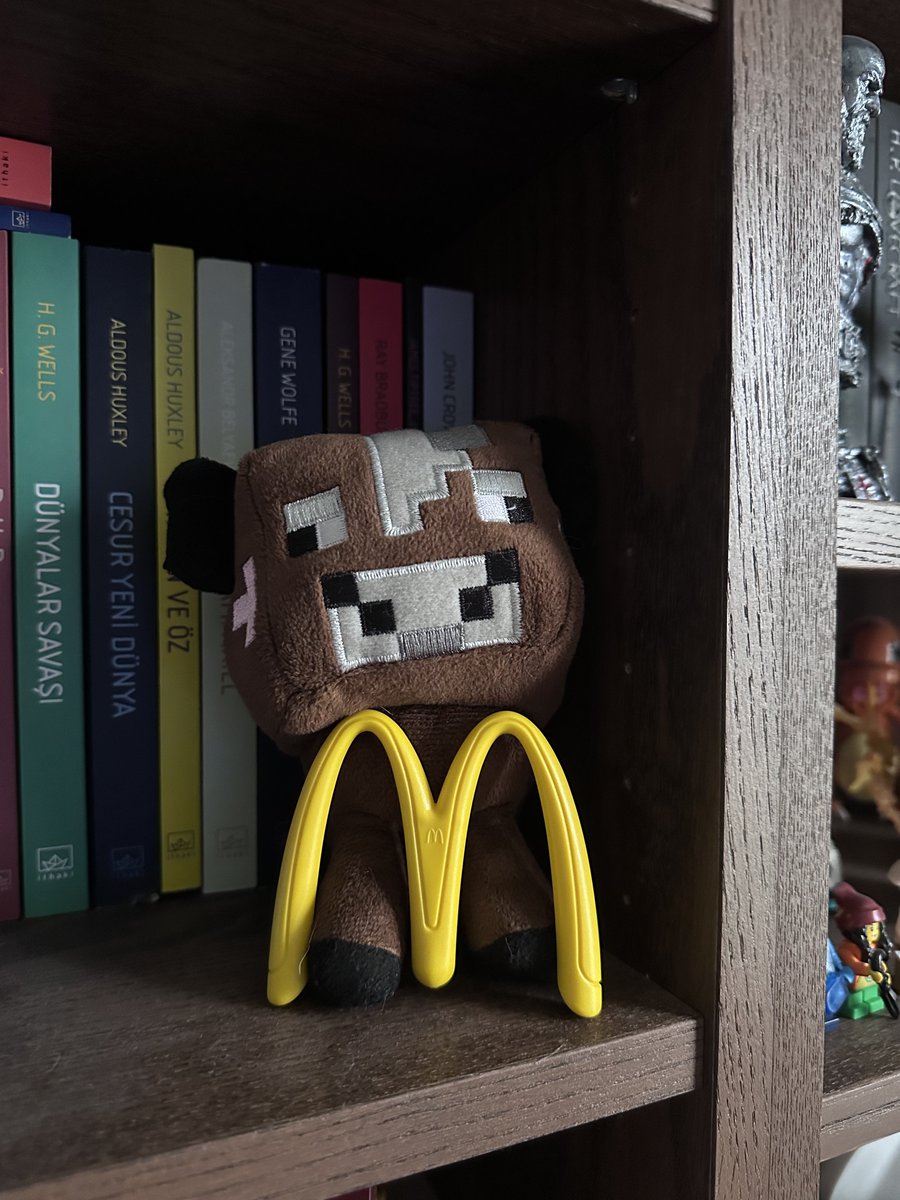 Erbil 🐨 tweet media