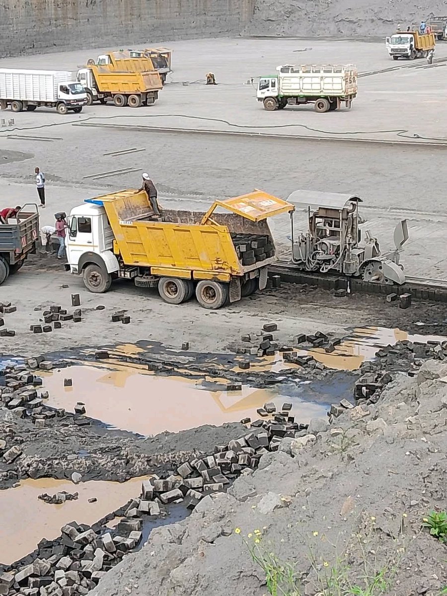 Ignatius tweet media