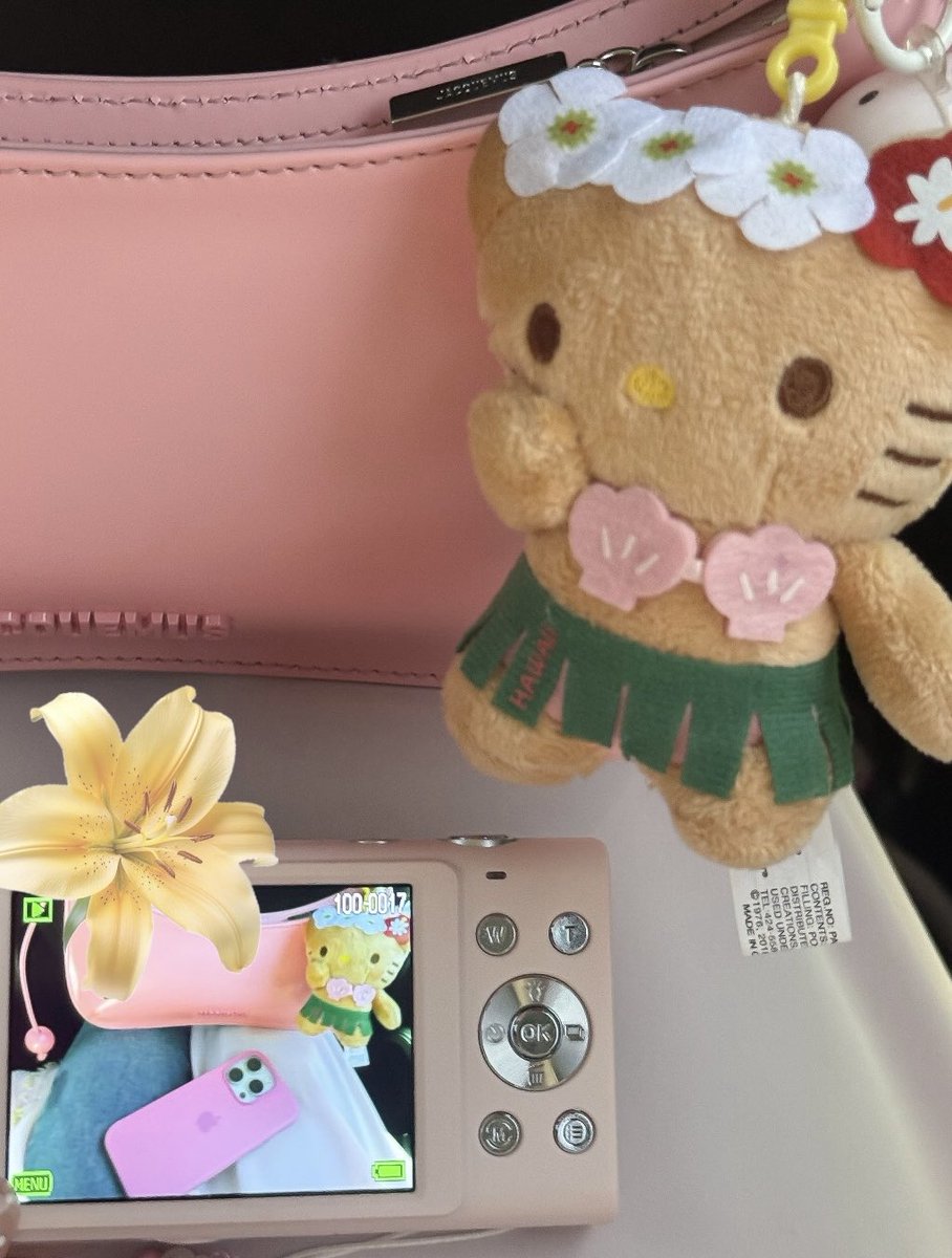 princess tweet media