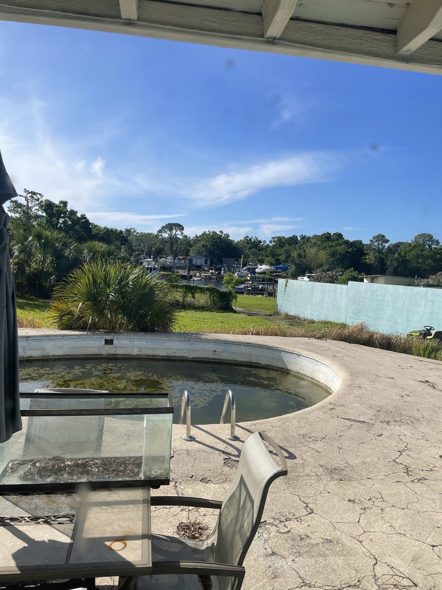 ひろこ＠Blueskyにいます tweet media