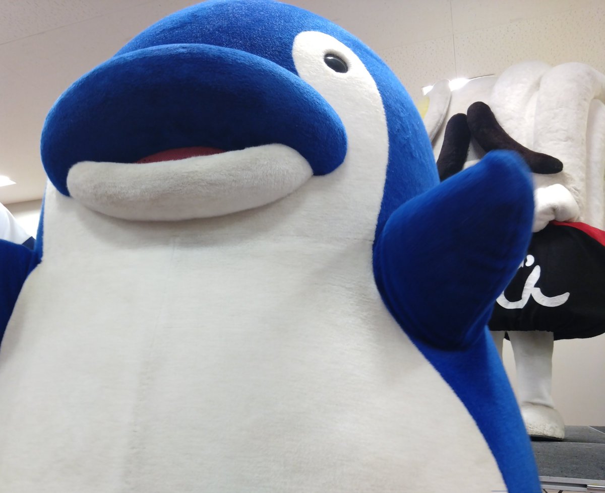 まるさ tweet media