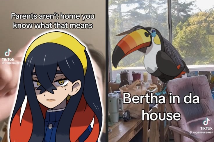 terrace🍎 tweet media