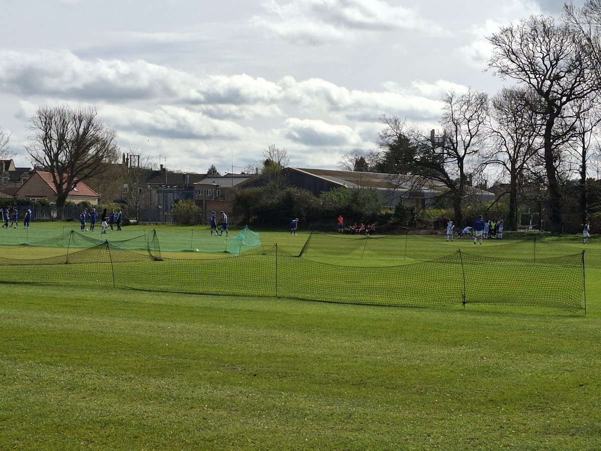 Daniel Tortoise tweet media