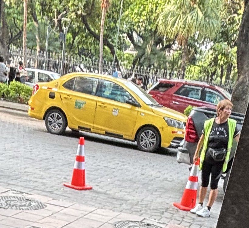 Guayaquilsinleyes tweet media